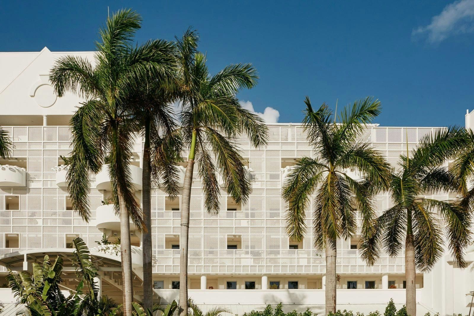 Palm Heights