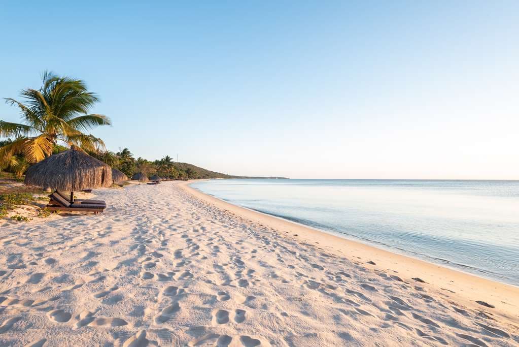 On-Site,Ocean,Beach
