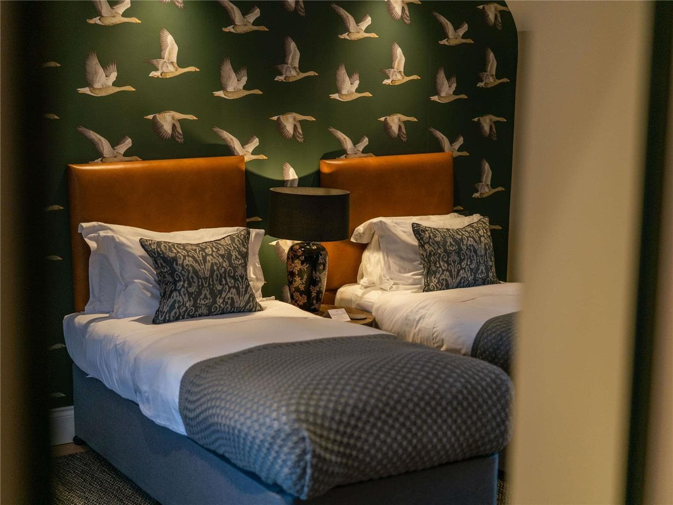 Guest Room,Suite,On-Site