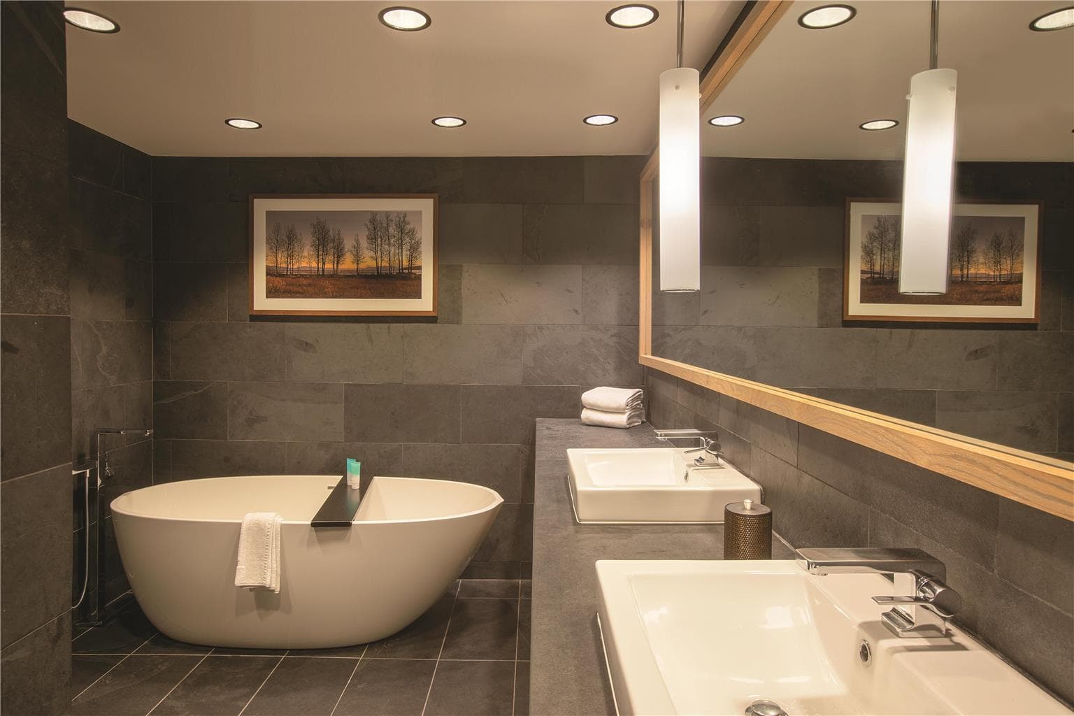 Guest Room,Bathroom,On-Site