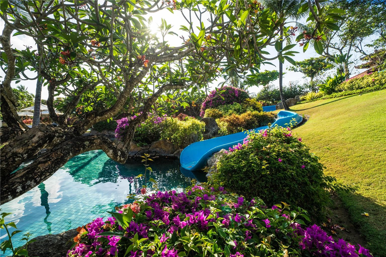 Pool,On-Site,Property Amenity,Recreation