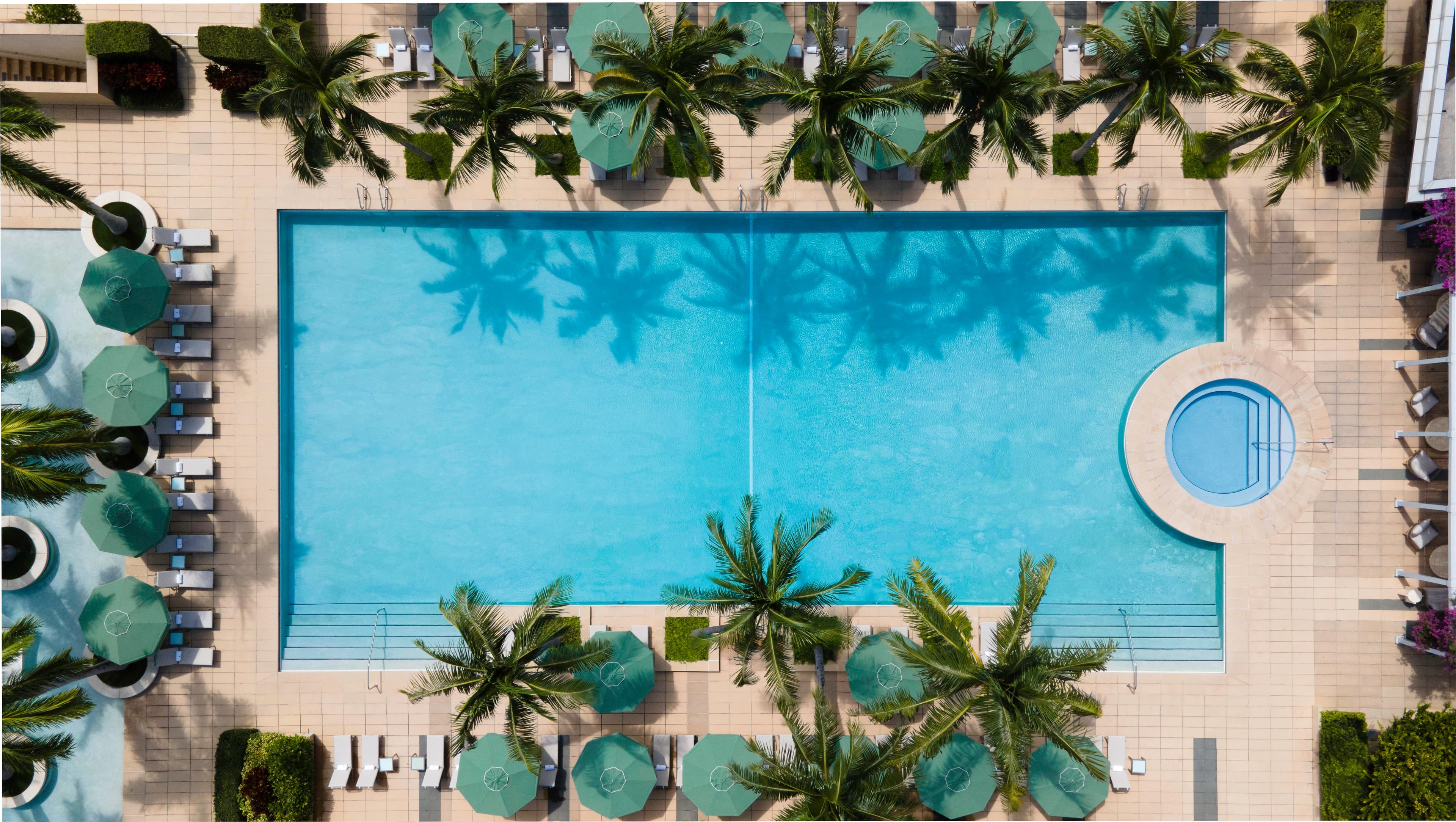 Rooftop Pool Terrace