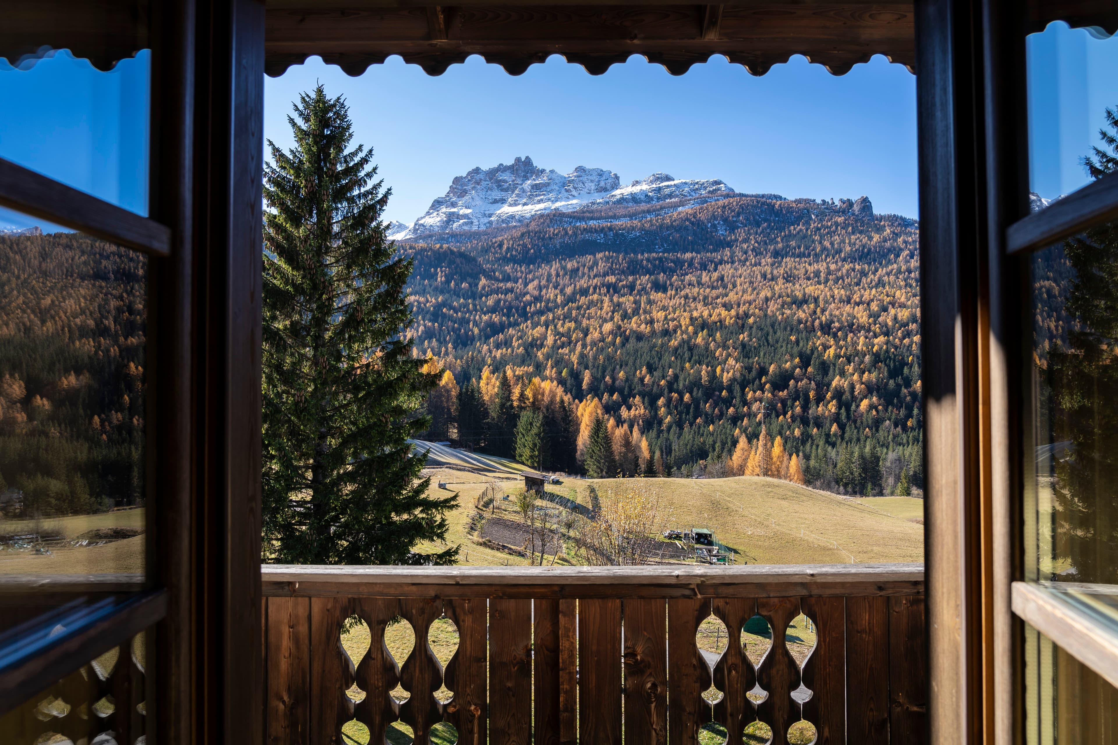Suite - View